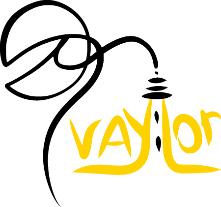 vaylor-logo-e-v